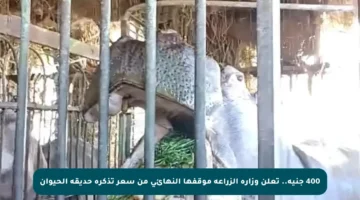 400 جنيه.. تعلن وزارة الزراعة موقفها النهائي من سعر تذكرة حديقة الحيوان